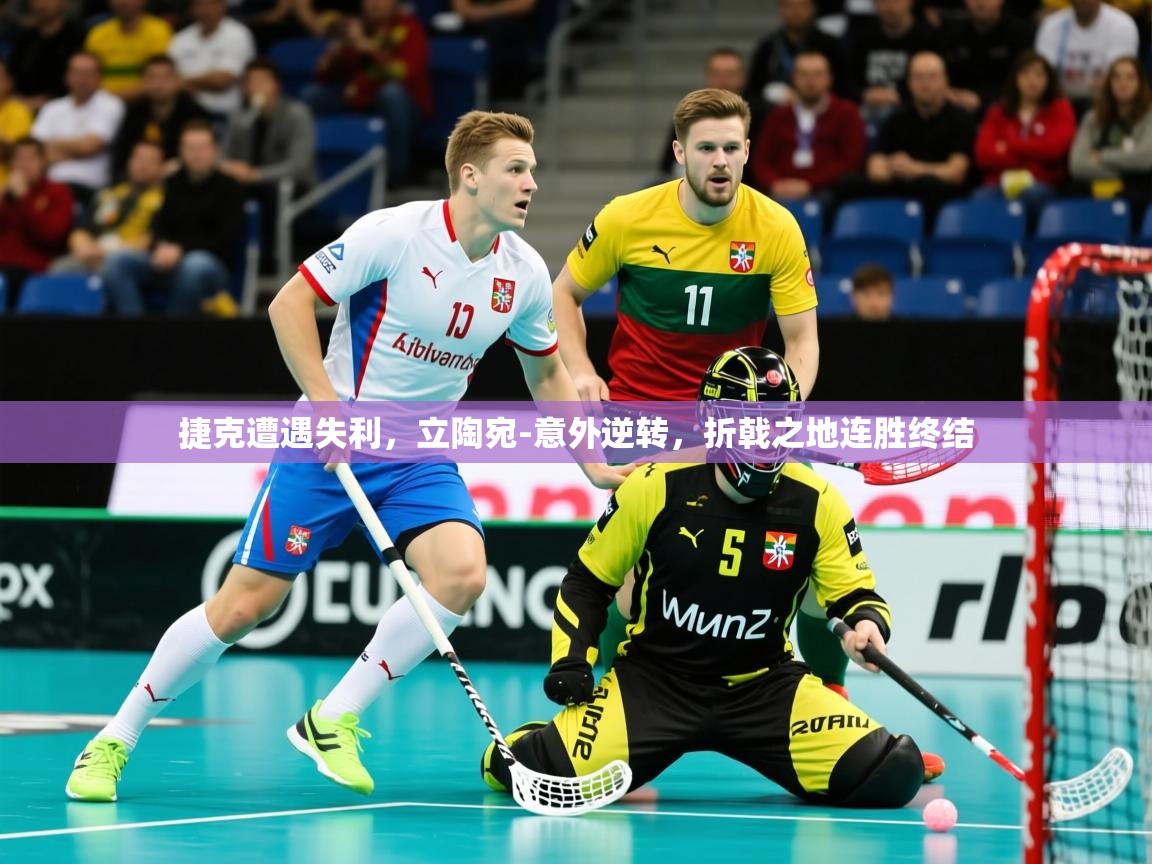 2025爱游戏体育ios版捷克遭遇失利，立陶宛-意外逆转，折戟之地连胜终结