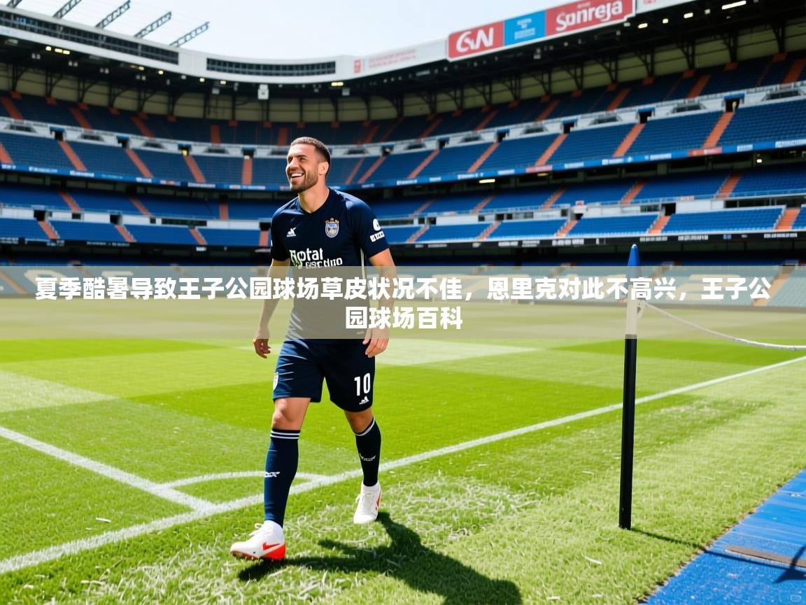 2025爱游戏体育官网网页登录网页版夏季酷暑导致王子公园球场草皮状况不佳，恩里克对此不高兴，王子公园球场百科  第1张