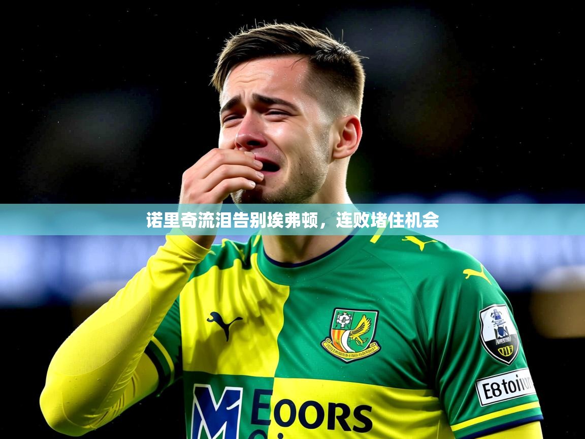 2025爱游戏体育在线app诺里奇流泪告别埃弗顿，连败堵住机会  第1张