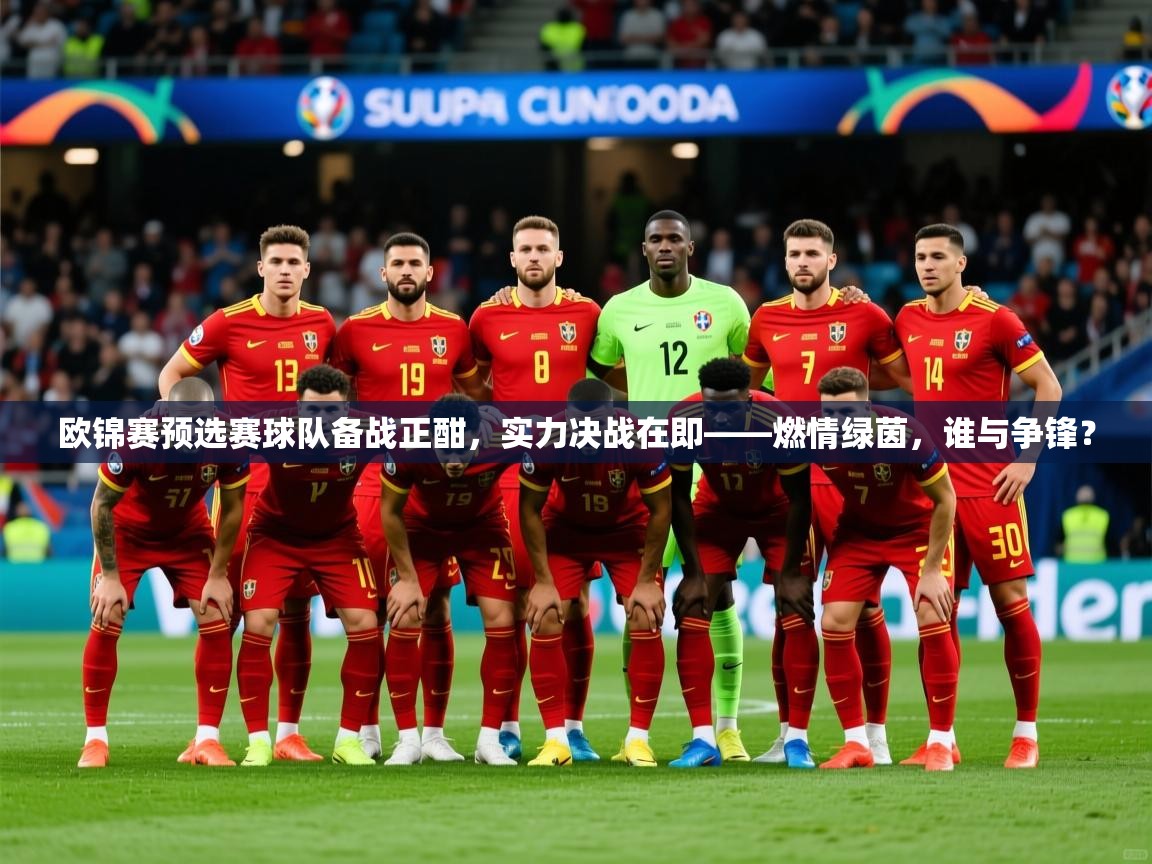 2026爱游戏体育网页版登录入口欧锦赛预选赛球队备战正酣，实力决战在即——燃情绿茵，谁与争锋？  第4张