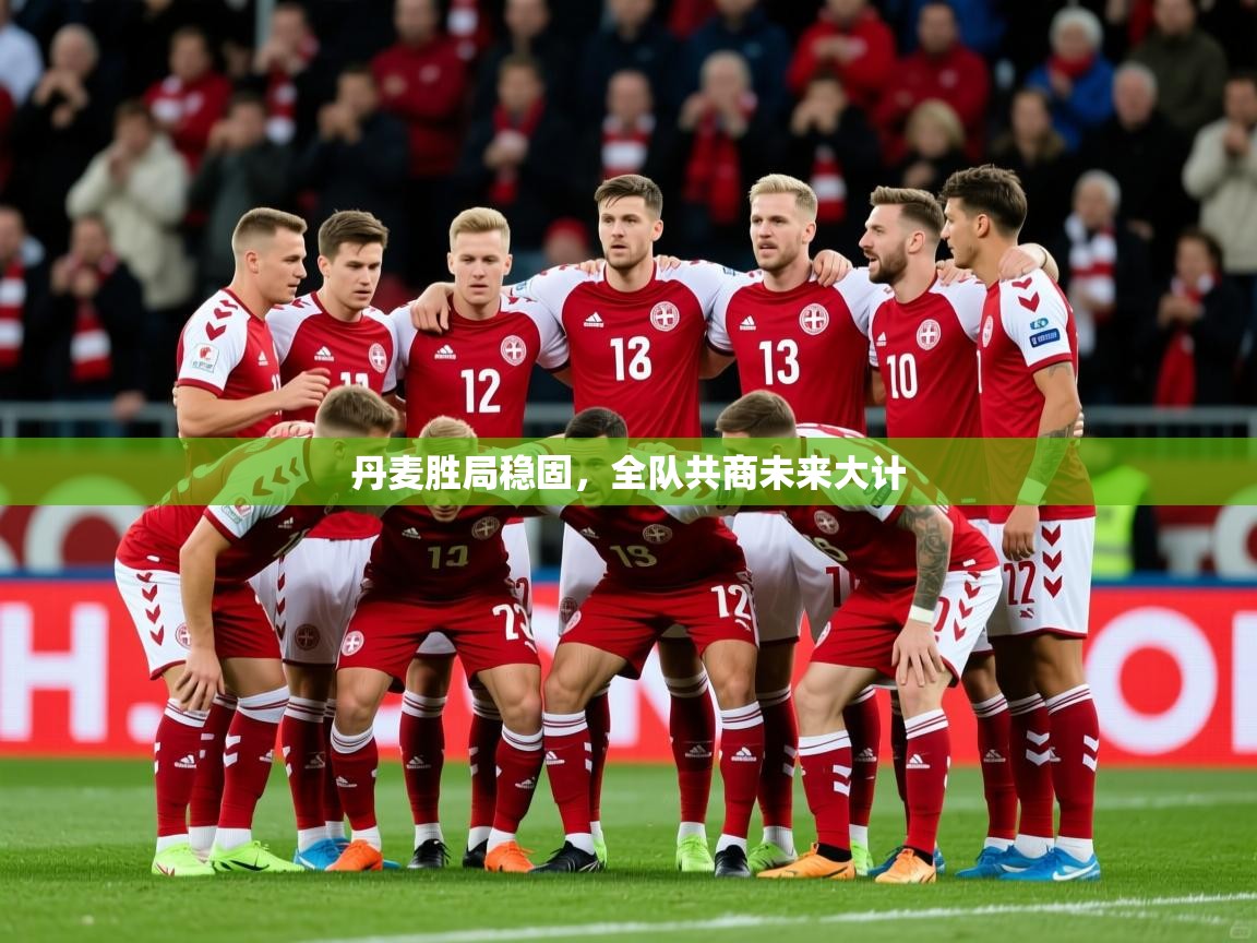 2026爱游戏体育注册官网丹麦胜局稳固，全队共商未来大计  第4张