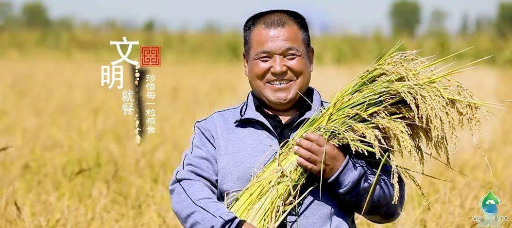 安徽队备战全方位，为夺冠稳步前行