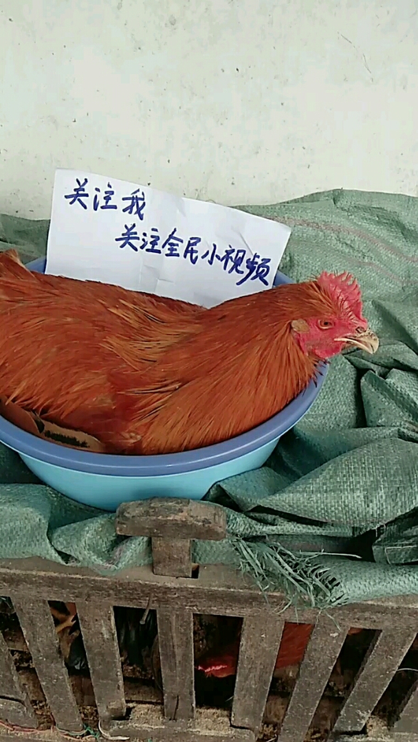 爱游戏体育官网登录-关于全民关注！精彩瞬间视频火爆网络的信息